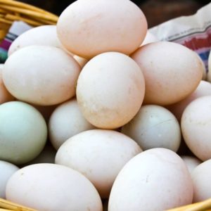 Pastured Farm Fresh Duck Eggs