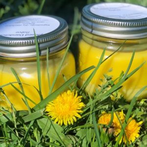 Dandelion Salve!