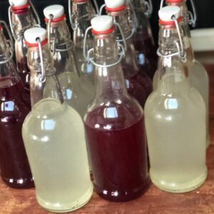 Farm to Ferment Probiotic!